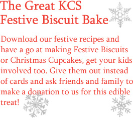 Festive Biscuit Bake